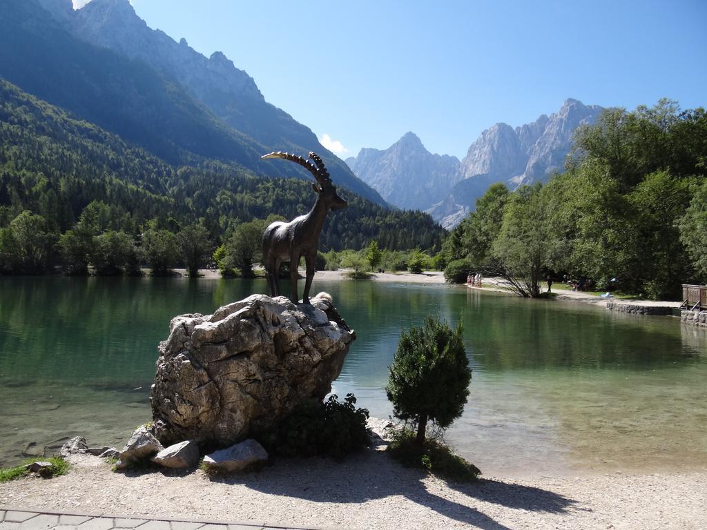 Pod Ponco Apartments Kranjska Gora Zewnętrze zdjęcie